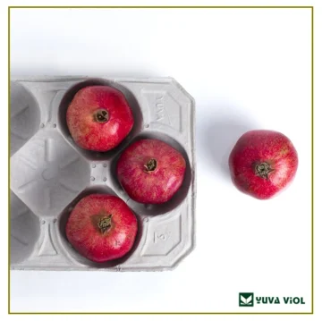 nar-ayva-kavun-viyolu-2