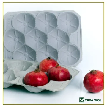 nar-ayva-kavun-viyolu-3