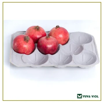 nar-ayva-kavun-viyolu